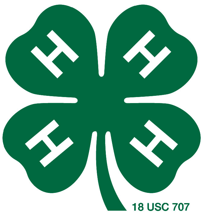 4-H Youth Development Program, MSU Extension