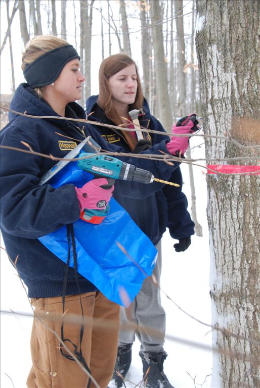 A senior, Hannah Mikazes shows junior Lindsay Brockwell how to put in a tap on a maple tree.