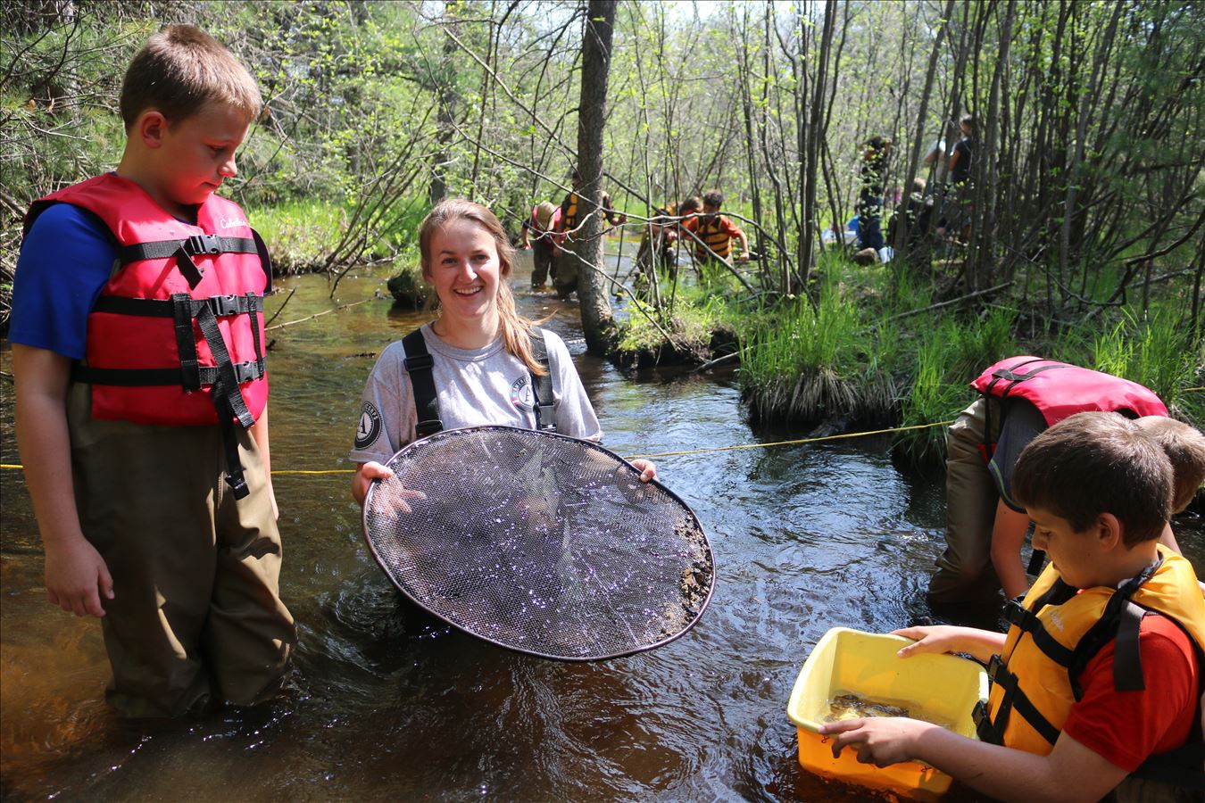 Exploring biotic water quality in Vaughn Creek