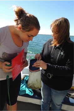 microplastics5.jpg