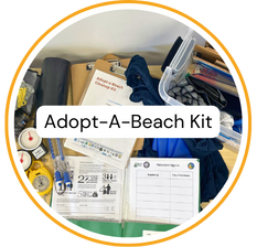 Adopt-a-Beach