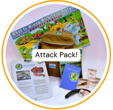 Attack Pack