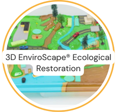 3D EnviroScape® Ecological Restoration