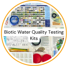 Biotic Water Quality Testing