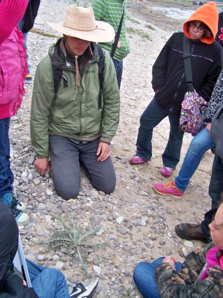 Students were given the opportunity to see a real life endangered species up close - Pitchers Thistle!