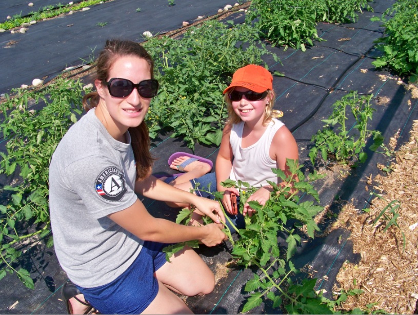 Helen-Ann Prince working with Amelia to trim tomato plants before their cage is put around them. 