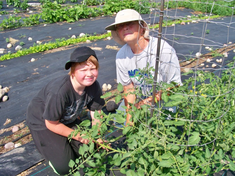 Alcona County Master Gardener Billie Thompson taught Caleb, Alcona Elementary student, how to trim a tomato plant in the garden.