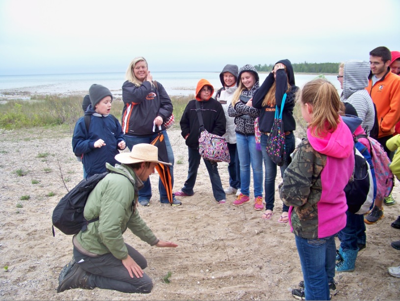 Sand dunes in MI are a unique feature that provides diversity of environmental elements; including wildlife, topographic relief, vegetation, habitats and climatic conditions.
