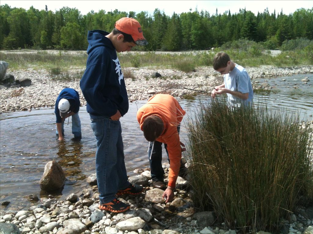 Students searched for macro invertebrates and terrestrial species along the shoreline. 