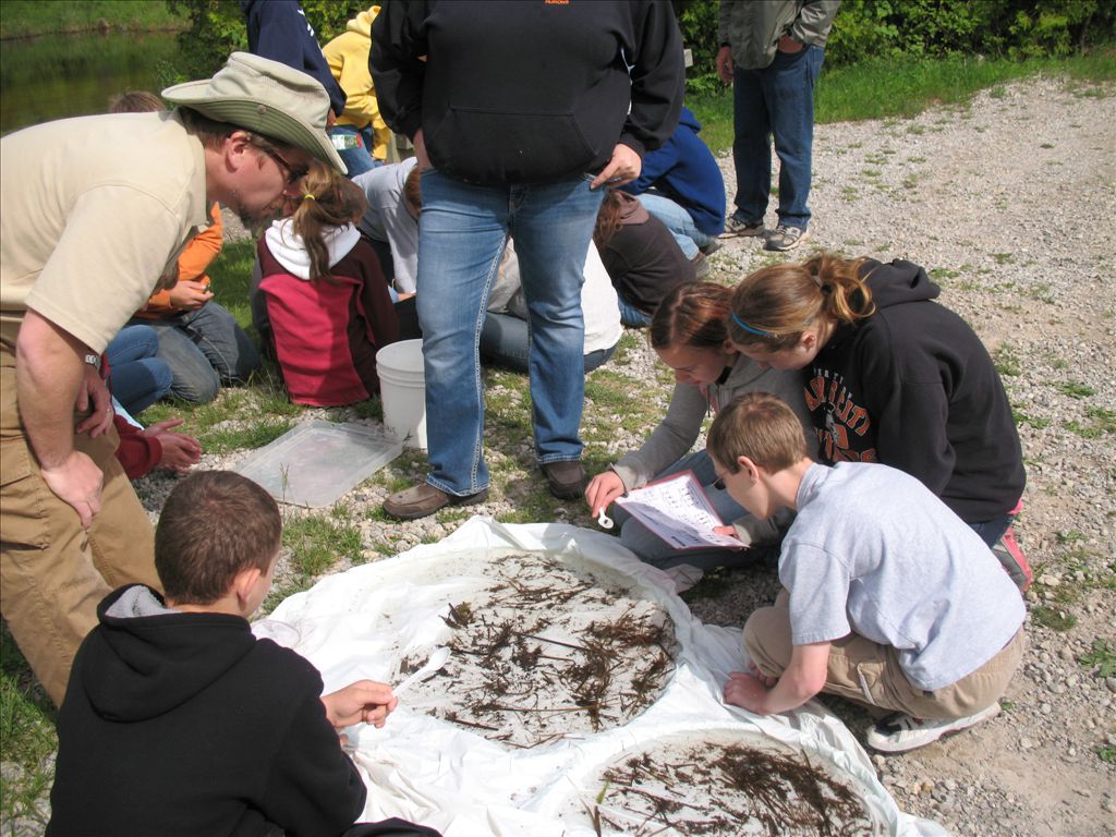 Nick Myers helped students identify macro invertebrates using a dichotomous key!  