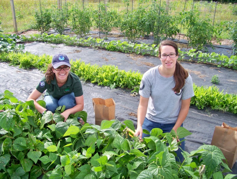 Huron Pines AmeriCorps members Sarah Adcock (L) and Helen-Ann Prince (R) picking green beans in the garden.