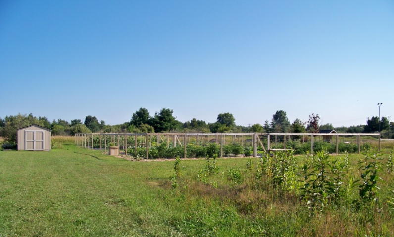 The Alcona Community Garden consists of two fenced in sections located between the Alcona Elementary School and Alcona Health Center.