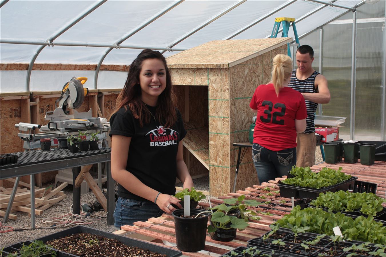 5213_4_onaway_greenhouse.jpg