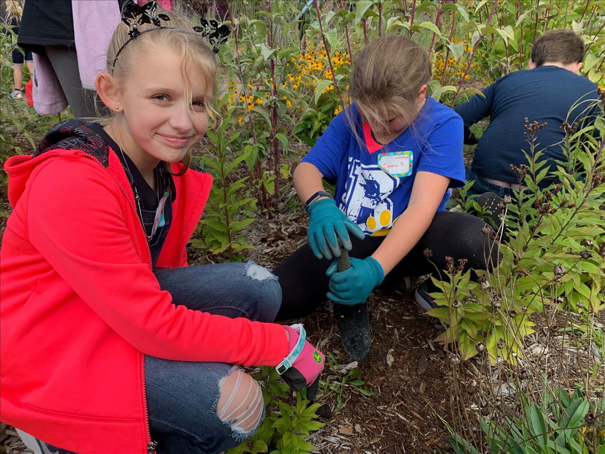 Doing pollinator garden maintenance