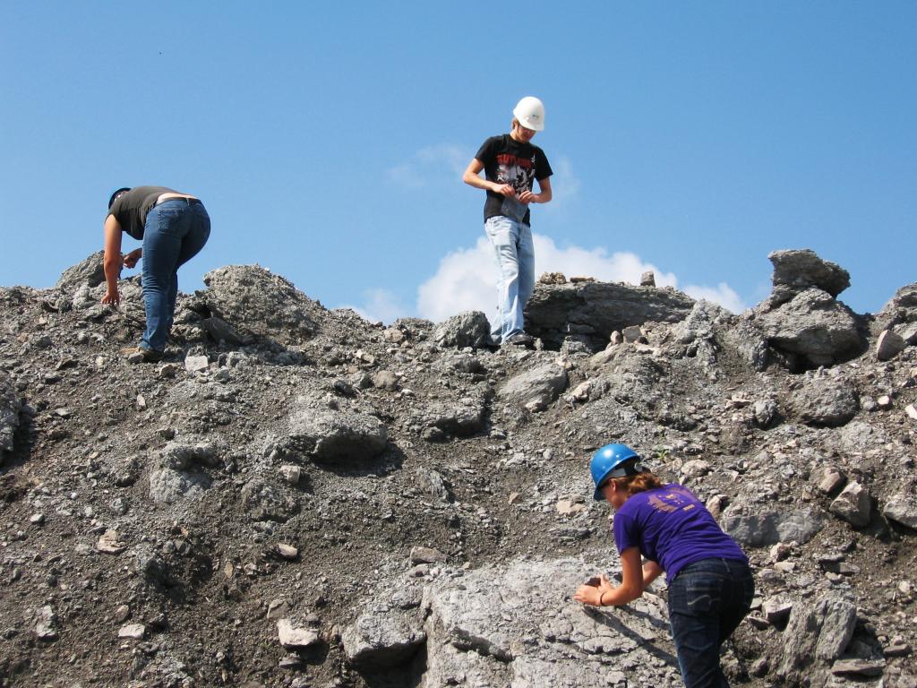 Students explored the quarry looking for fossils