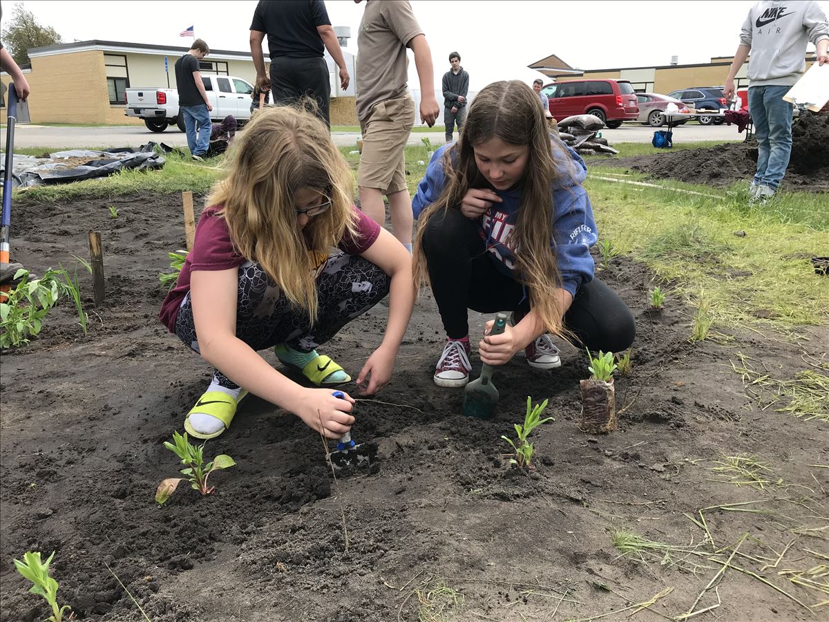 Rain garden plants being planted