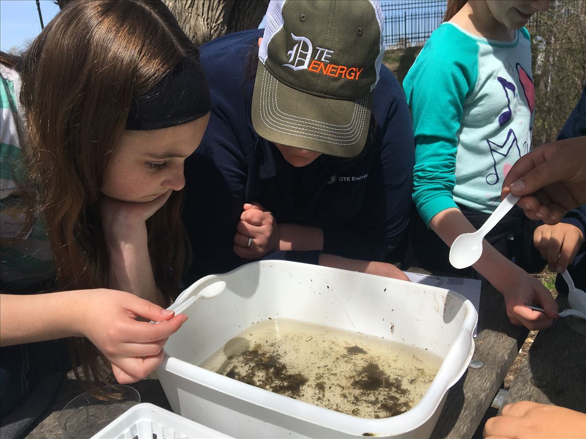 Exploring biotic water quality