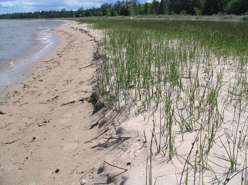 Negwegon State Park beach
