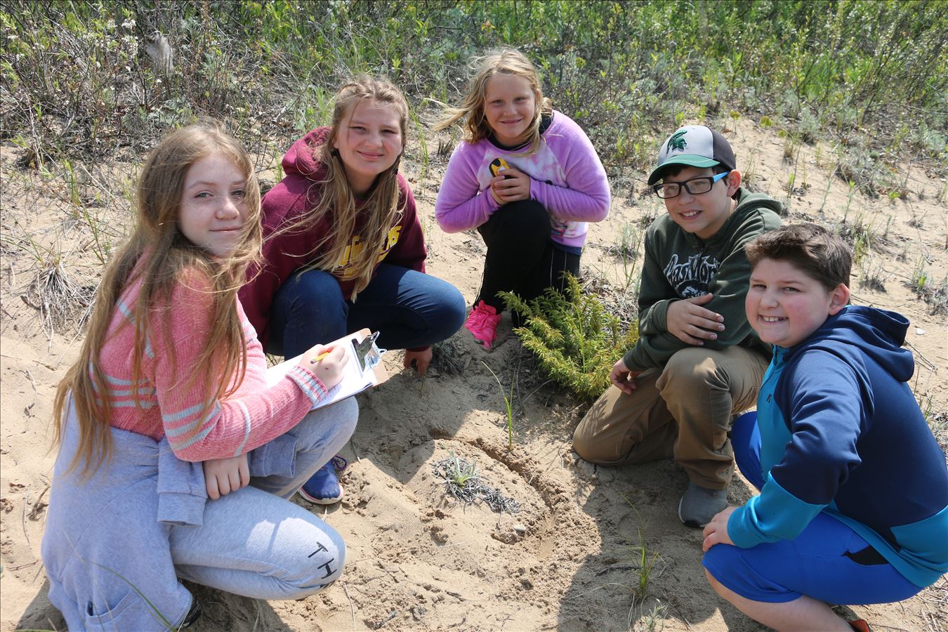 Mapping Pitcher's Thistle on Charity Island
