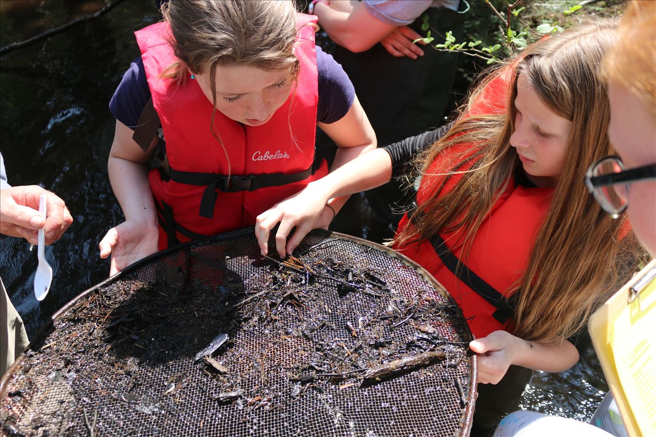 Looking for macroinvertebrate