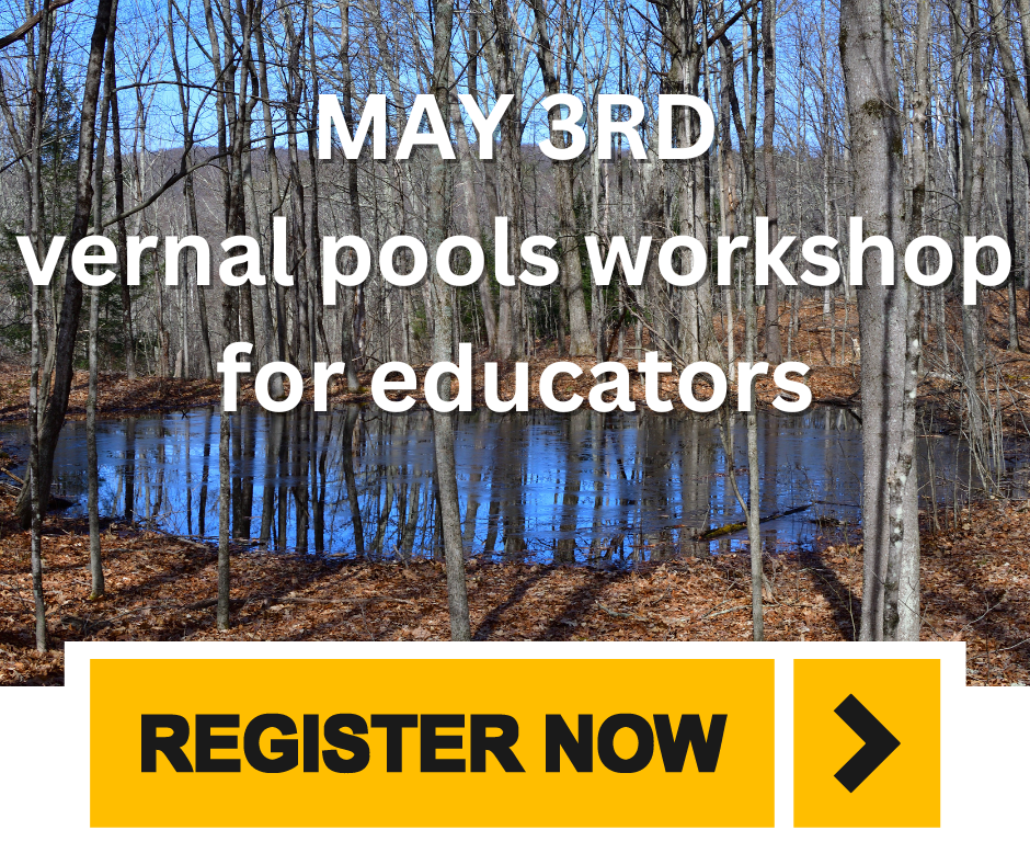 may-3rd-vernal-pool.png