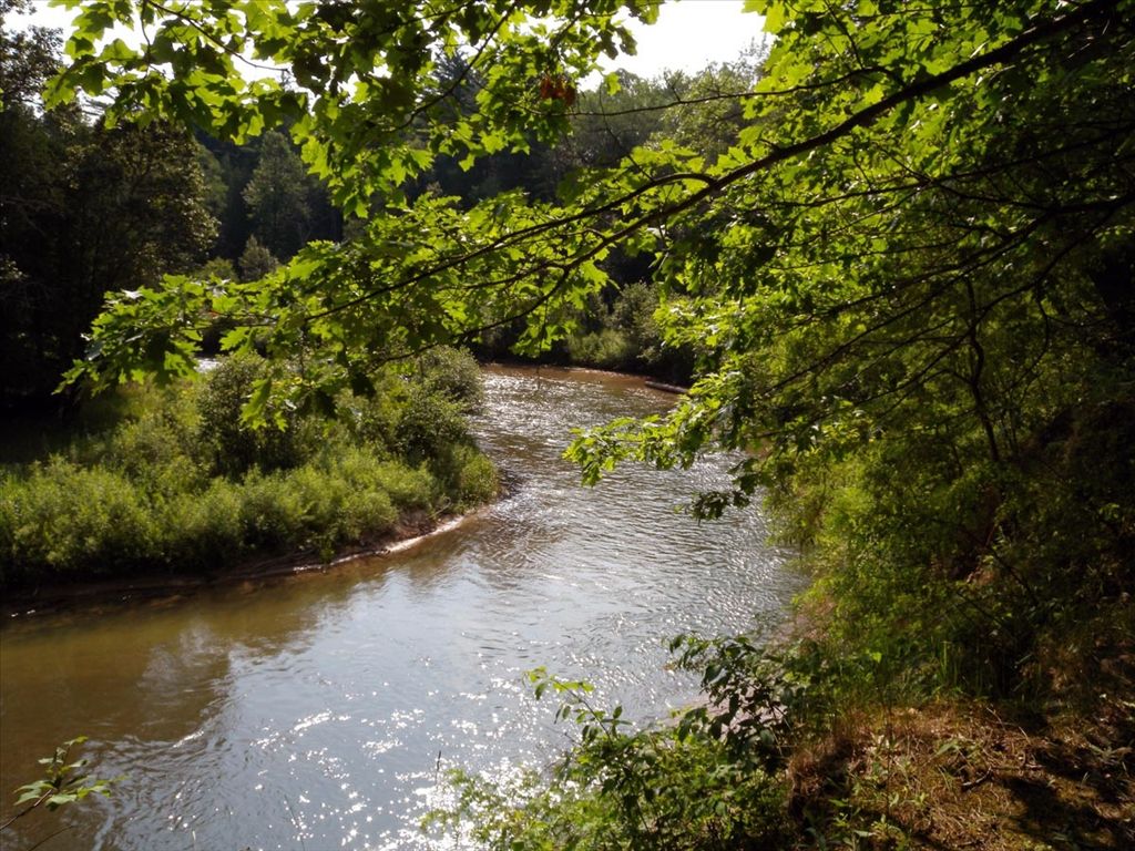 The Pine River is approximately 50 miles in length. This stream and its tributaries drain about 169,000 acres.