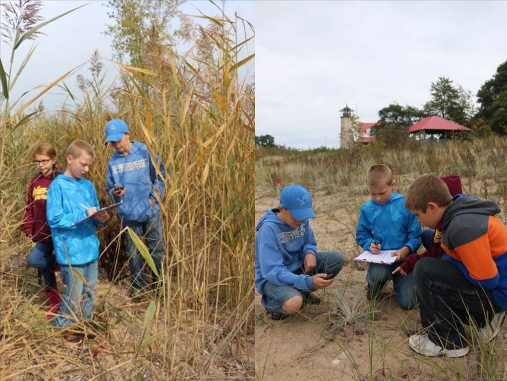 students_collect_data_on_threatened_pitchers_thistle_and_invasive_phragmites.jpg