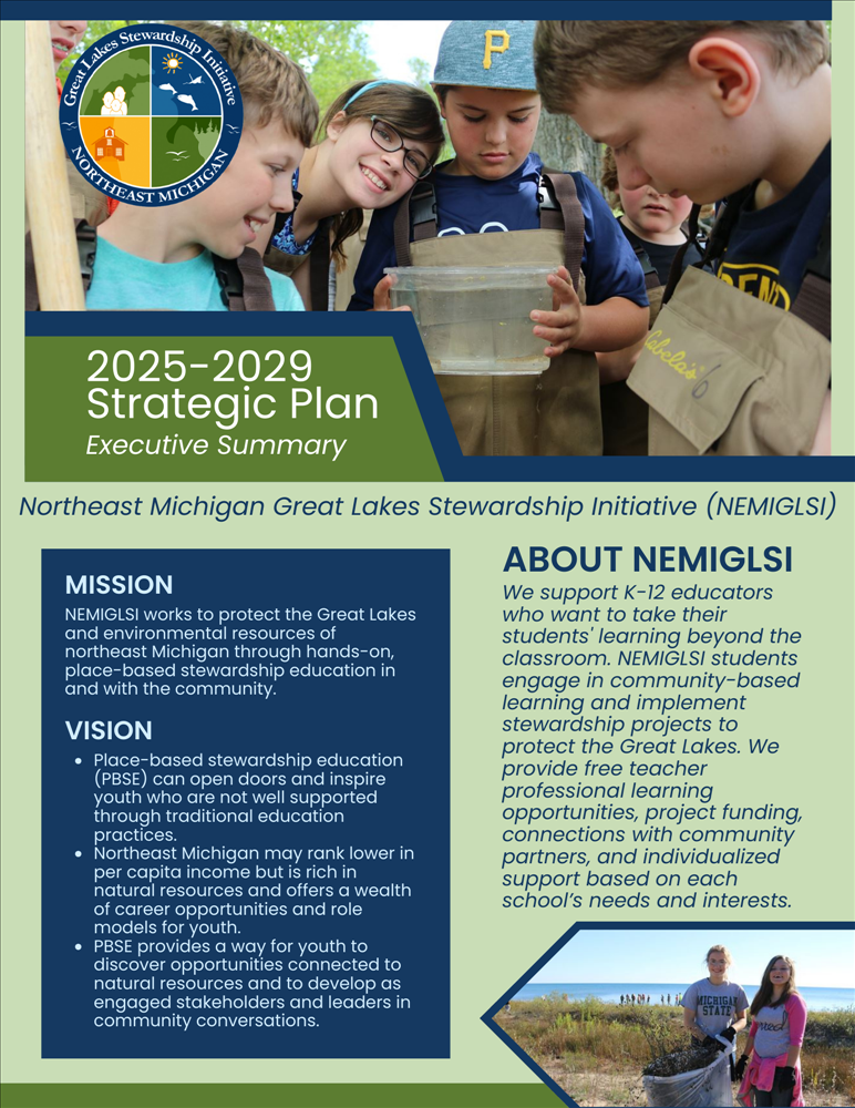 NEMIGLSI Strat Plan Exec Summary (1/2)