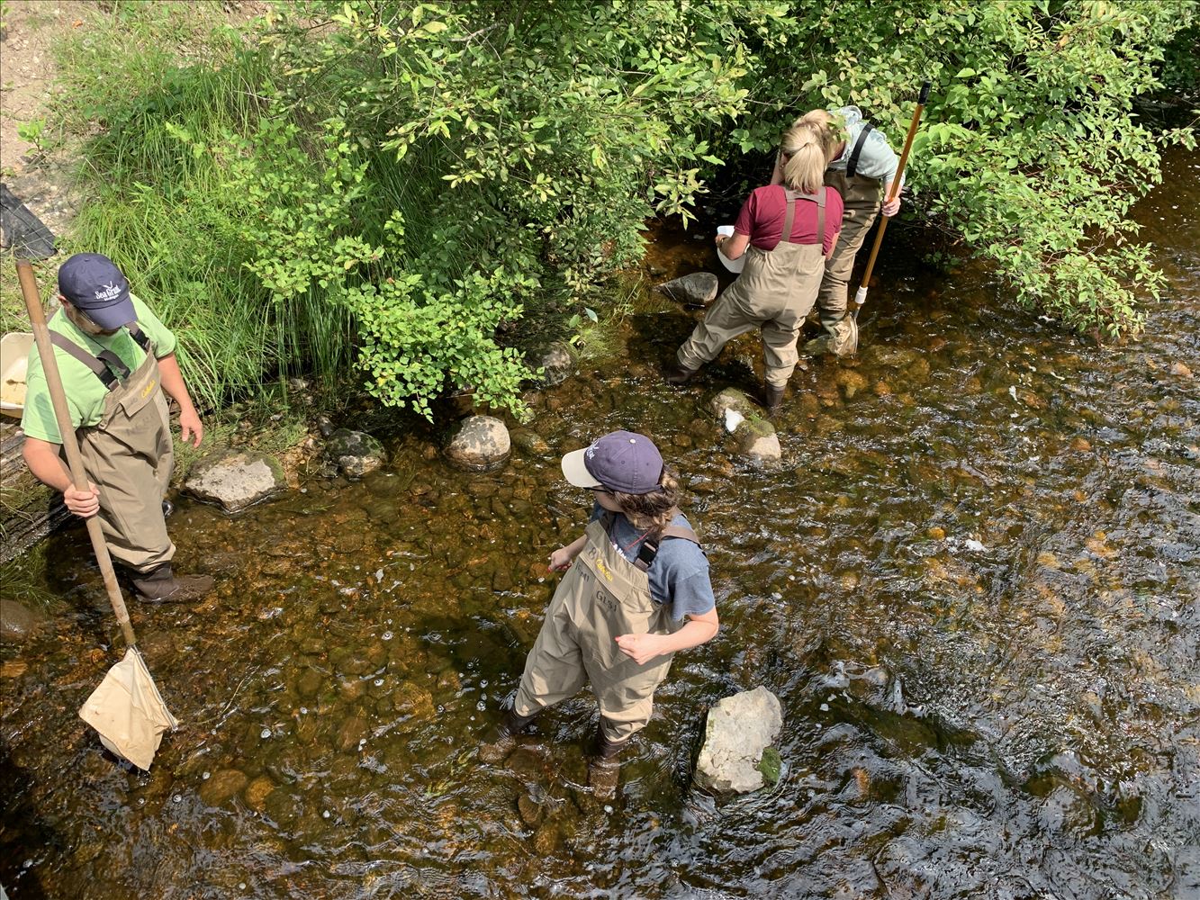 2021 Summer Institute