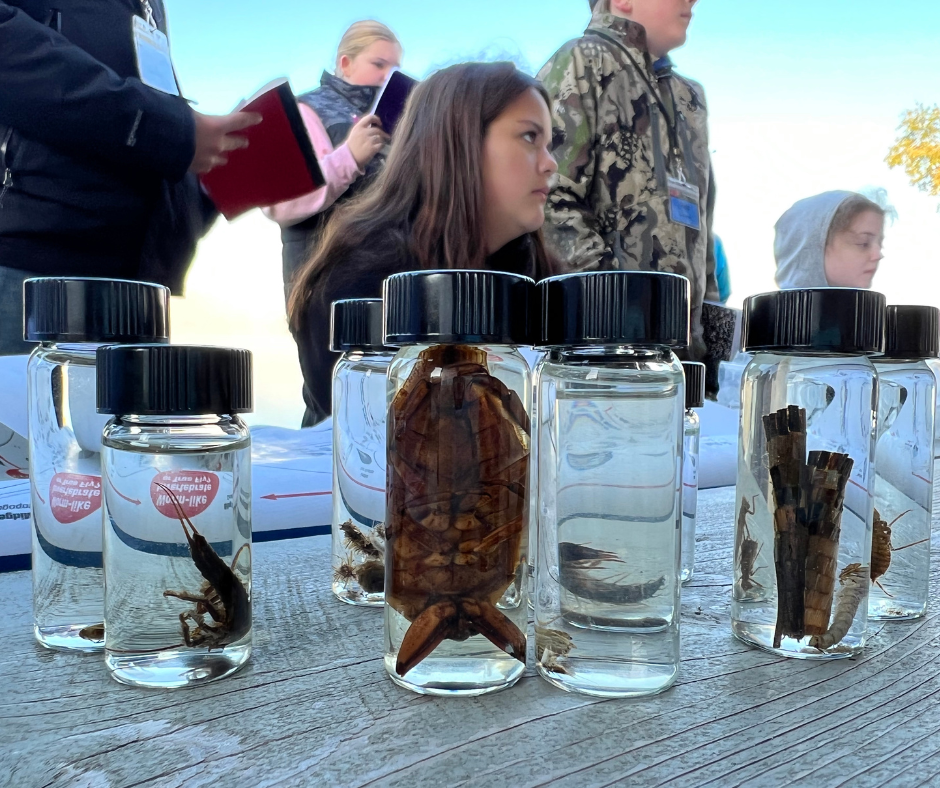 Sample Table Where Students Will Work to Identify What They Find in Their Lakebed Samples