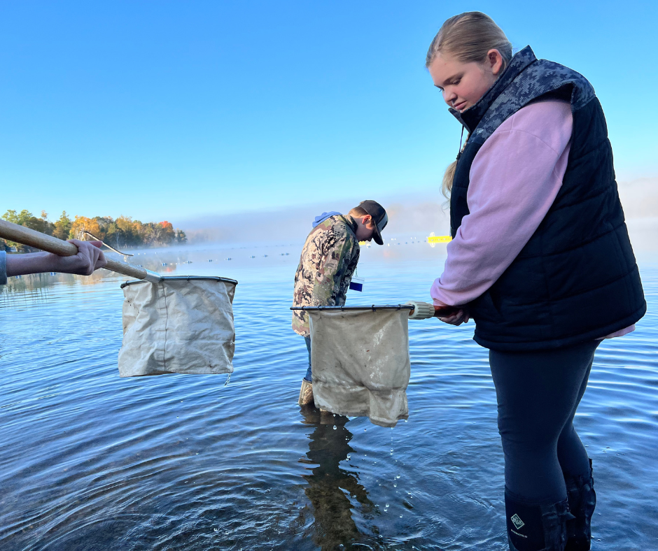 Collecting Samples of Invertabrates