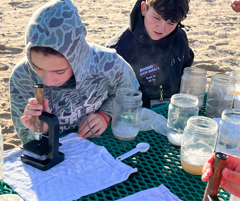 View Sand Findings Through a Field Microscope