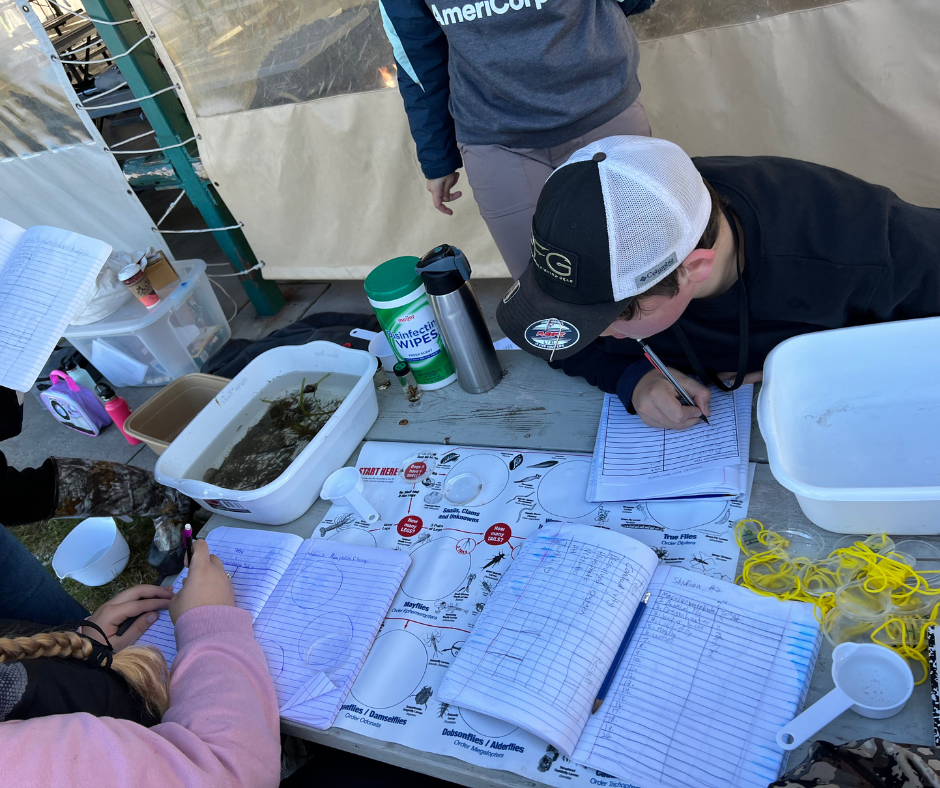 Identifying Invertebrates with Charts & Measurements 