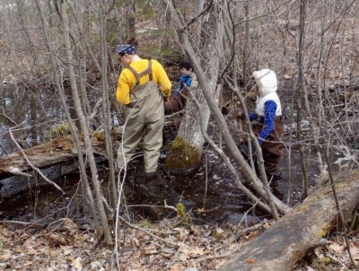 vernalpools1.jpg