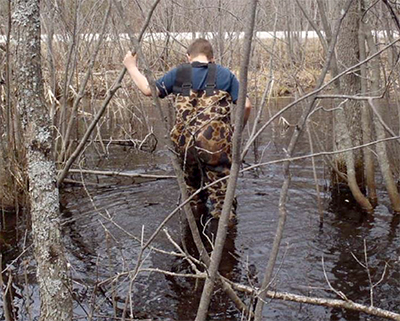 vernalpools2.jpg